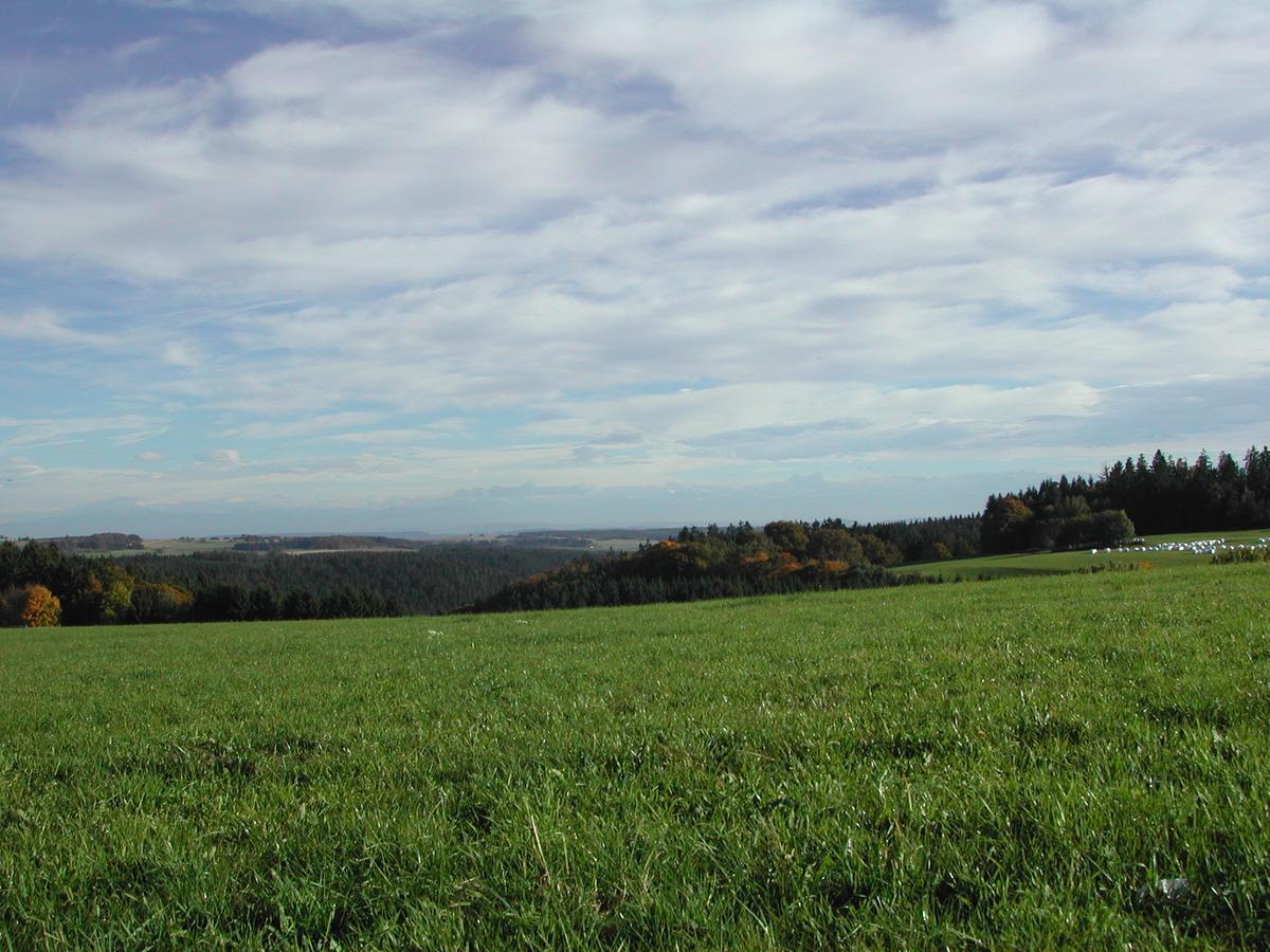 Gasthaus-Pension Zum Kreuz ชตูลิงเกน ภายนอก รูปภาพ