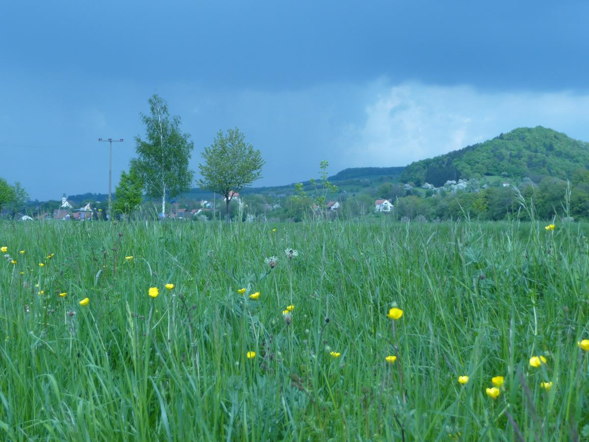 Gasthaus-Pension Zum Kreuz ชตูลิงเกน ภายนอก รูปภาพ